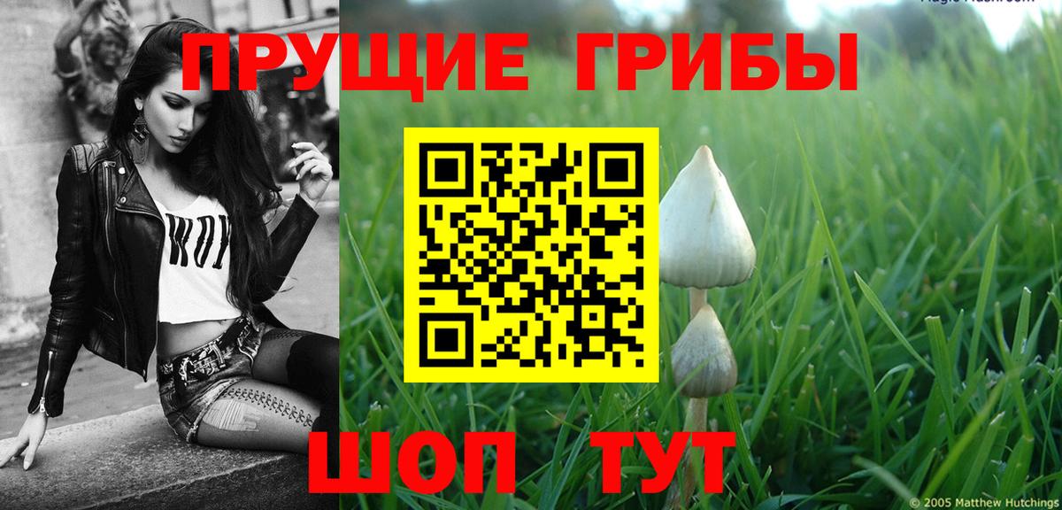 Псилоцибиновые грибы Psilocybine cubensis Янаул